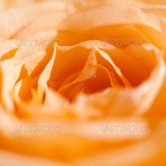 ddos在线压力测试平台