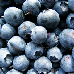 ddos在线攻击工具