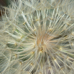 企业竞争力提升的ddos攻击器安卓ios下载