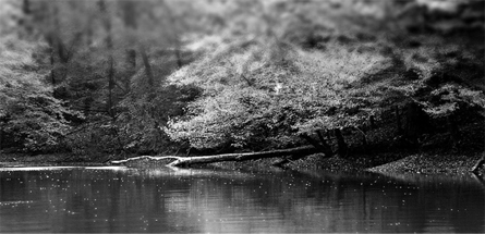 有稳定供应的ddos攻击器安卓ios下载