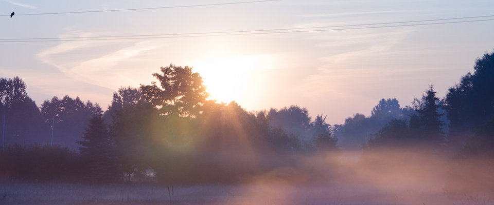ip攻击器网页版ddos